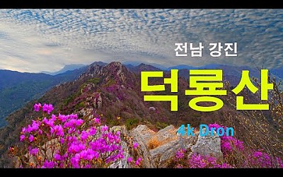 전  남       강    진       덕   룡    산