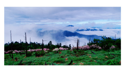 천상의 화원(지리산)