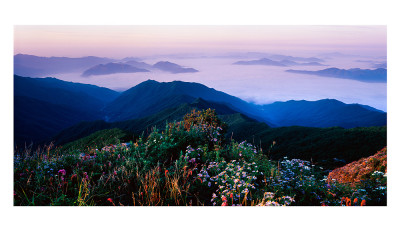 산상화원