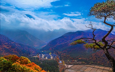 만추의 산사