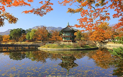 경복궁 향원정의 가을