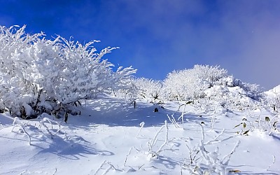 덕유설경