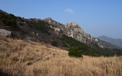 금정산의 갈대