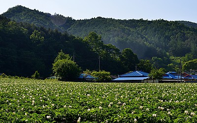 부수입