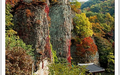  無 爲 庵 秋 景