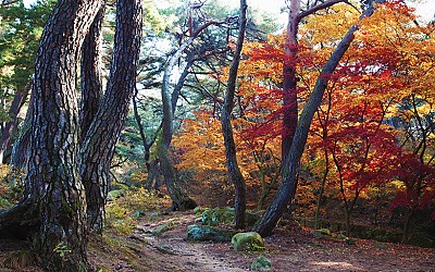 경주 삼능