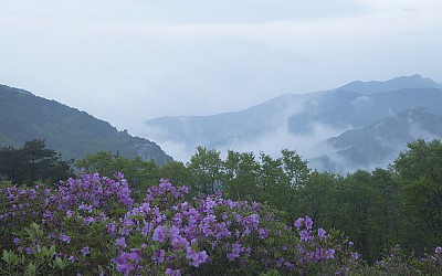 황매산