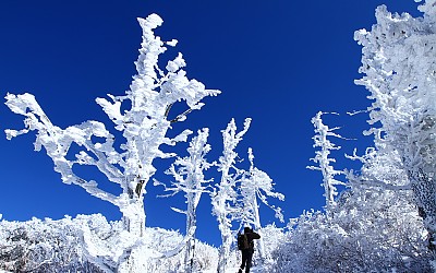 설경에 취하다