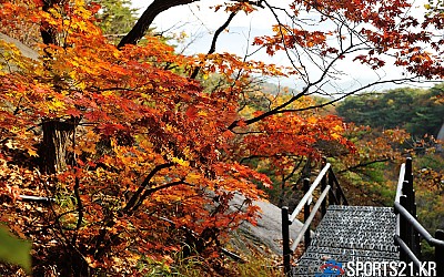 가을로 가는길