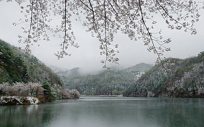 태고사 입구에서~