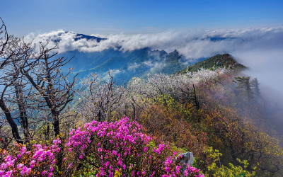 설악산의 봄