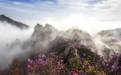 주작의 멋