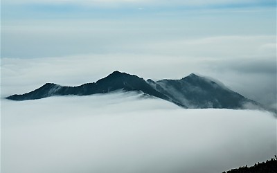 설악산화채봉