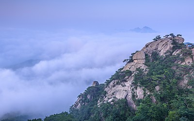 산정