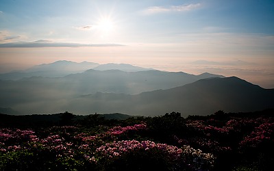 좋은 아침