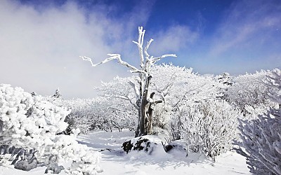 덕유산