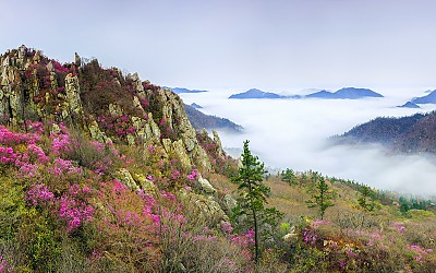 주작산