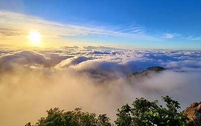 금오산 운해