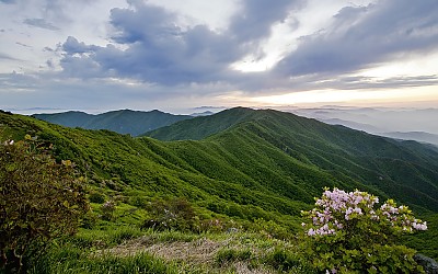 소백산의 봄