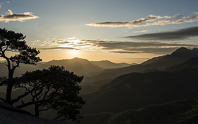 속리산 자락의 아침