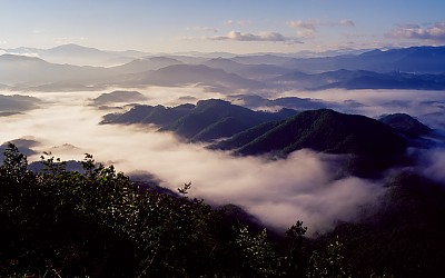 부귀산 아침