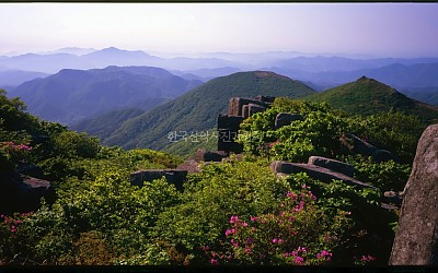 입석대의 봄