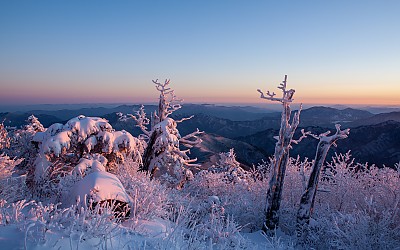 홍대수-1