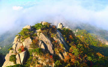 도봉산 신선대의 싱그러움