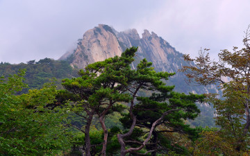 북한산의 가을이 물들어갑니다.