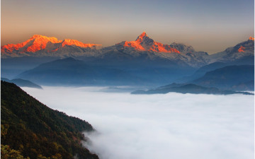 산정의 빛과 운해