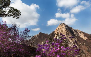 아름다운 북한산 !