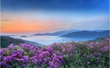 하늘엔 조각달이 떠 있고~