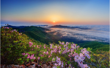 가지산이어라 !!