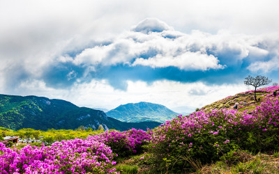 철쭉동산과 구름산