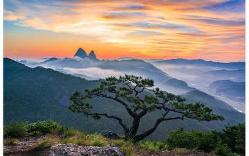 소낭구와 마이산