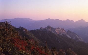 再生.마가목이있는 풍경.