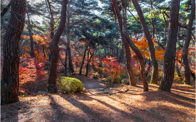 경주 남산 !!