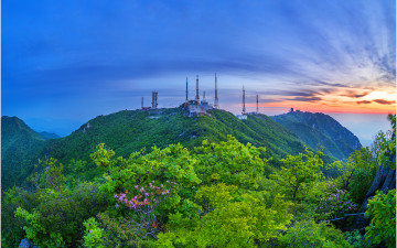 철쭉꽃 찾아 삼만리 !!! - 팔공산