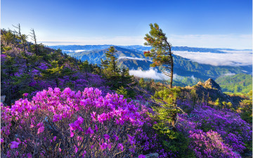 설악산이니뎌 !!! - 설악산