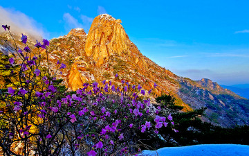 4월에 만난 인수봉의 봄 - 북한산