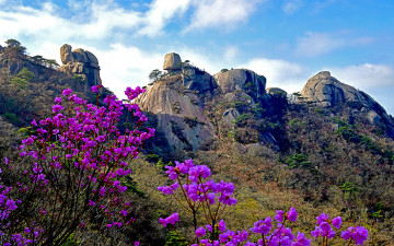 오봉의 봄 - 도봉산