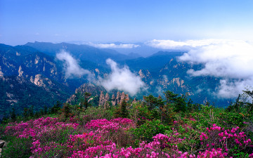 용아장성의 봄 - 설악산