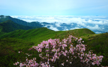 만복대 - 지리산