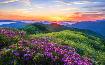 환희의 아침 !!! - 지리산