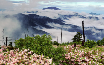 제석봉에서 반야를 보다 - 지리산