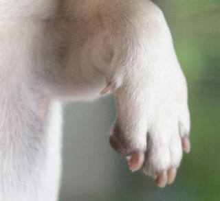 d0972aad9810358aeb828c8799475409_1750840361_4988.png d0972aad9810358aeb828c8799475409_1750840361_4988.png