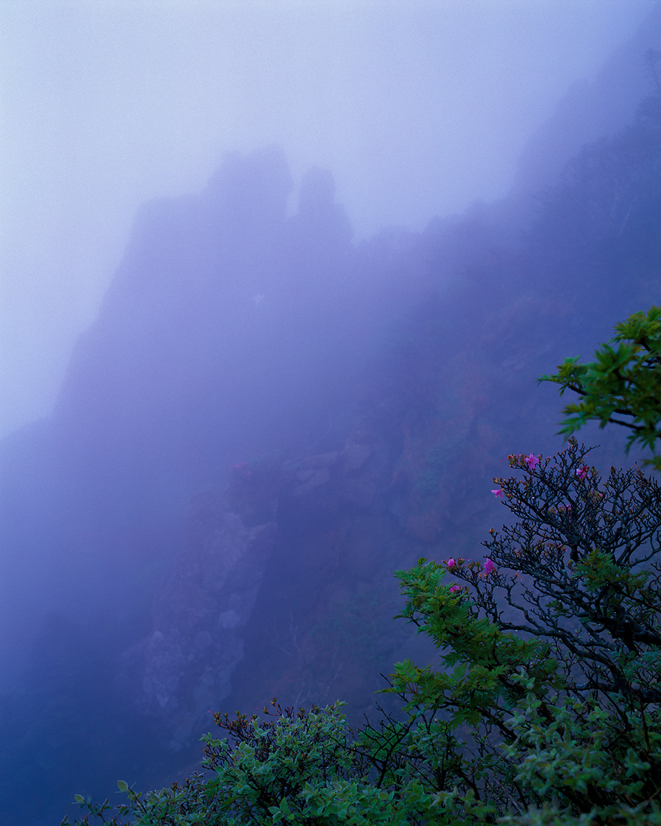 ddad8f7949afa3c894bb6aeb2b611f16_1750187104_2505.jpg ddad8f7949afa3c894bb6aeb2b611f16_1750187104_2505.jpg