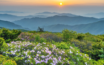 [한국산악사진가협회봄 출사] - 덕유산