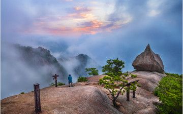 밀어내기 한 판 敗  !!!