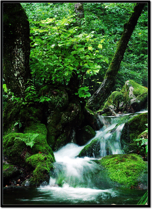 1a7b13c2cac2b8f943e454888407c22b_1751769872_9389.jpg 1a7b13c2cac2b8f943e454888407c22b_1751769872_9389.jpg